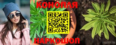 гидра Коммунар